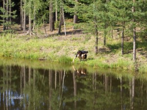 bill05_037