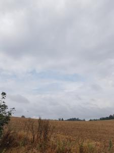 Img 180901 027