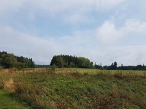 Img 180901 036