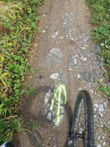 Img 180901 037