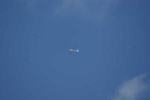 SONY DSC